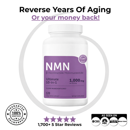 NMNology™ – NMN Support Supplement